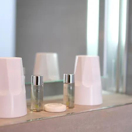 Hotel Amiral-fondary 3*