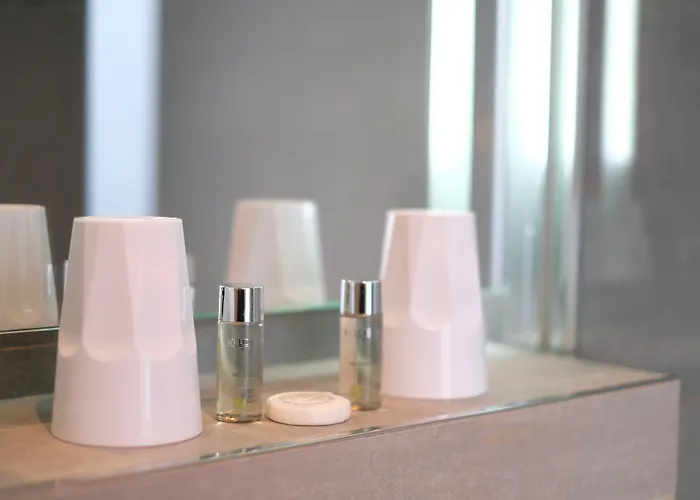 Hotel Amiral-fondary 3*